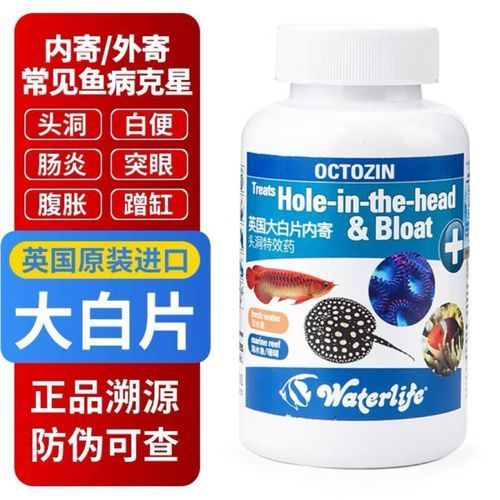 有哪些品牌的龍魚專用藥值得推薦？，哪些品牌的龍魚專用藥值得推薦？