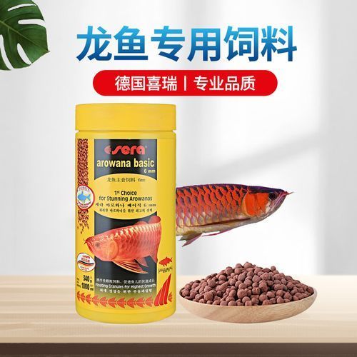 有哪些品牌的龍魚專用藥值得推薦？，哪些品牌的龍魚專用藥值得推薦？