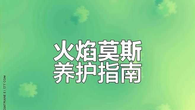 曼龍魚需要哪些水草，曼龍魚的水草搭配指南，