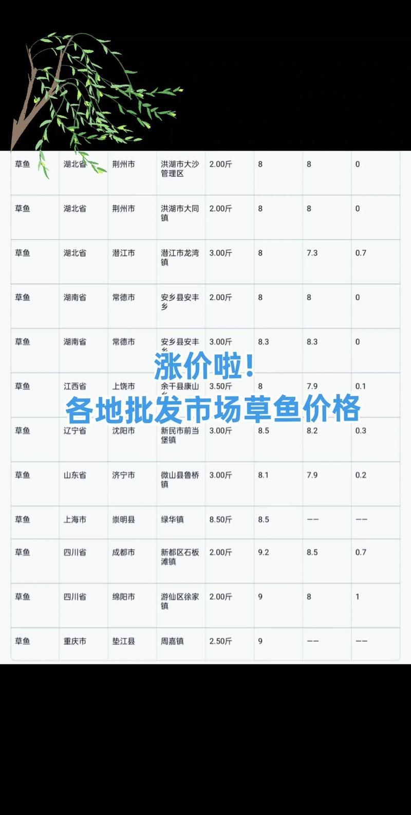 六盤水龍魚的市場價格