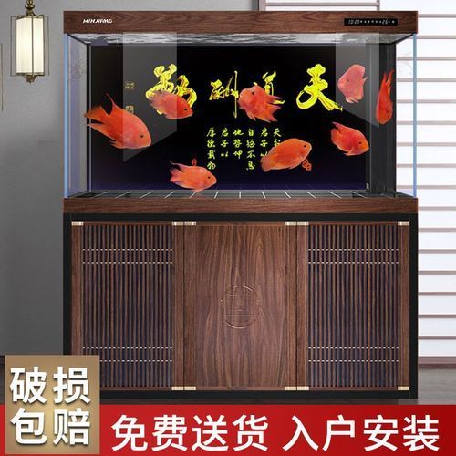 龍魚專用缸排名榜有哪些品牌推薦？，龍魚專用缸排名榜 龍魚專用缸排名榜有哪些品牌推薦？，龍魚專用缸排名榜 龍魚百科 第8張