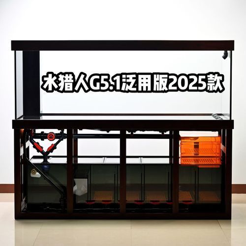 龍魚專用缸排名榜有哪些品牌推薦？，龍魚專用缸排名榜 龍魚專用缸排名榜有哪些品牌推薦？，龍魚專用缸排名榜 龍魚百科 第16張