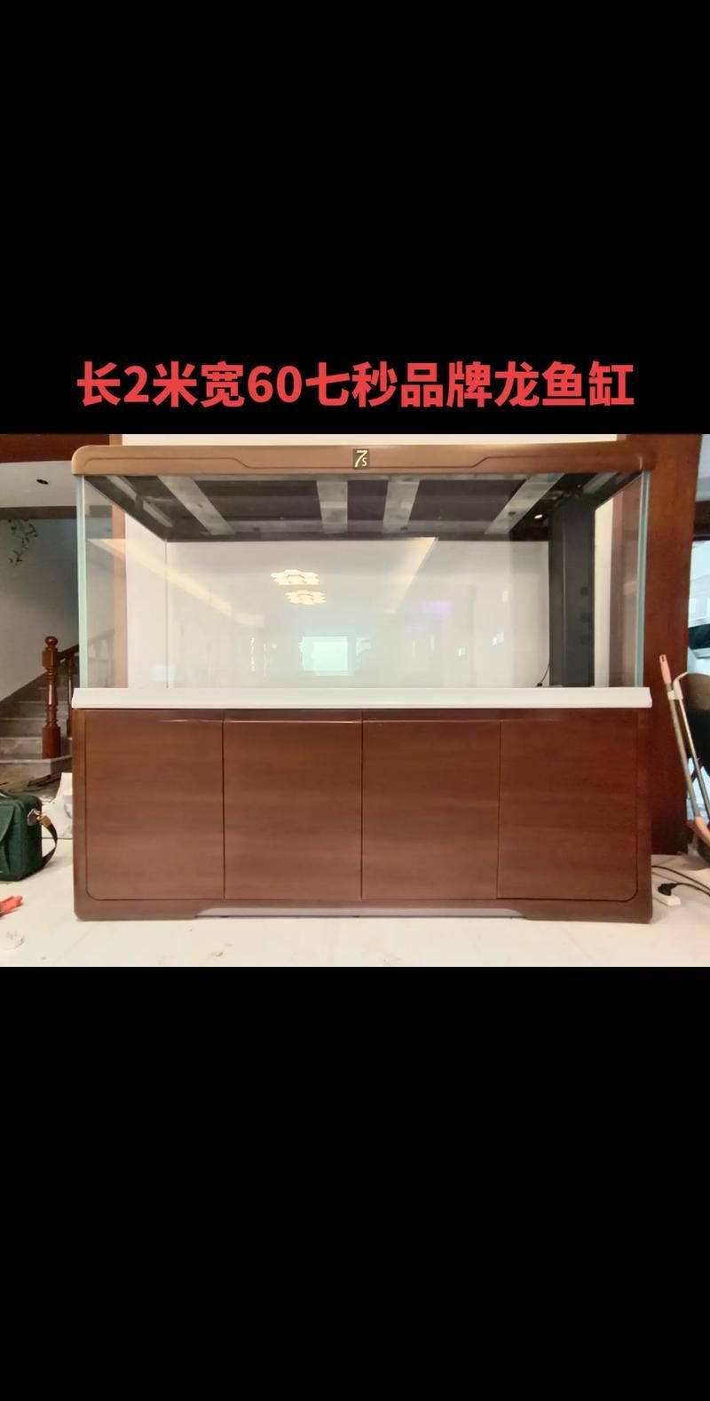 龍魚專用缸排名榜有哪些品牌推薦？，龍魚專用缸排名榜 龍魚專用缸排名榜有哪些品牌推薦？，龍魚專用缸排名榜 龍魚百科 第15張