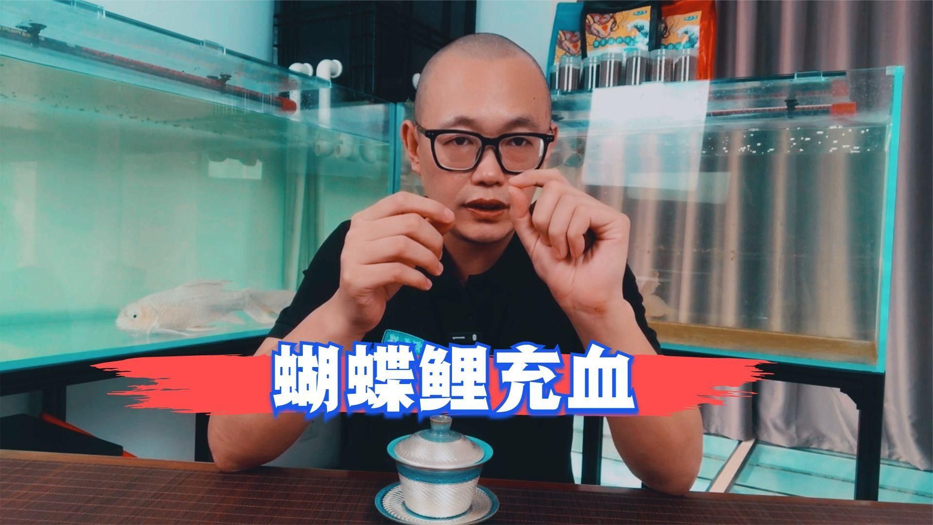 如何判斷魚尾巴充血是否嚴重，如何判斷魚尾巴充血是否嚴重，魚尾巴充血是否嚴重