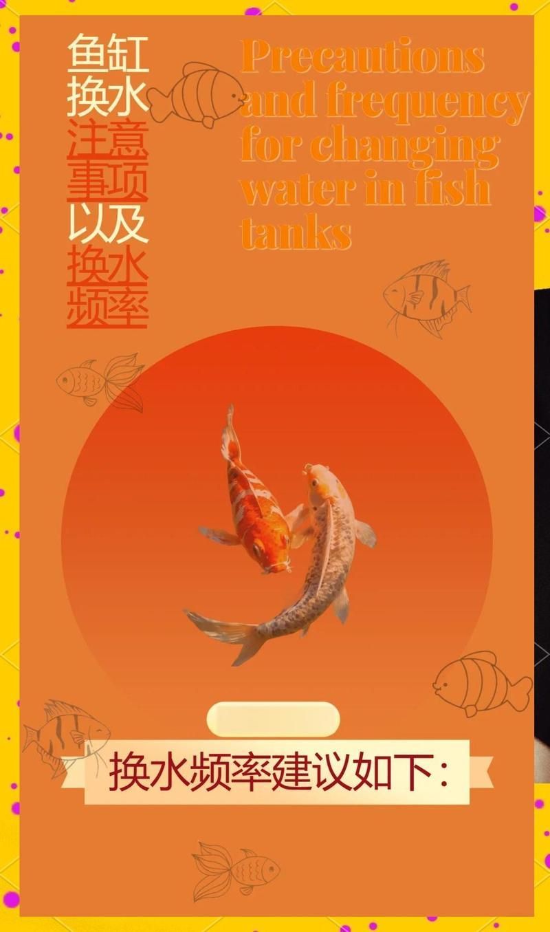 龍魚缸換水的最佳時間是什么時候？，龍魚缸換水的最佳時間是什么時候,養龍魚的人最怕水質不穩傷了魚 龍魚缸換水的最佳時間是什么時候？，龍魚缸換水的最佳時間是什么時候,養龍魚的人最怕水質不穩傷了魚 龍魚百科 第2張