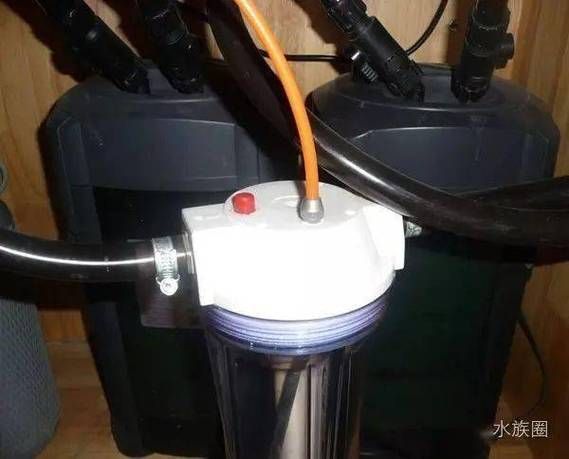 如何維持龍魚缸的水質？，如何維持龍魚缸水質