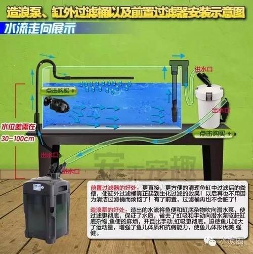 如何維持龍魚缸的水質？，如何維持龍魚缸水質