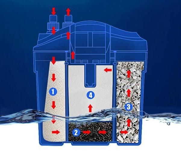 如何維持龍魚缸的水質？，如何維持龍魚缸水質