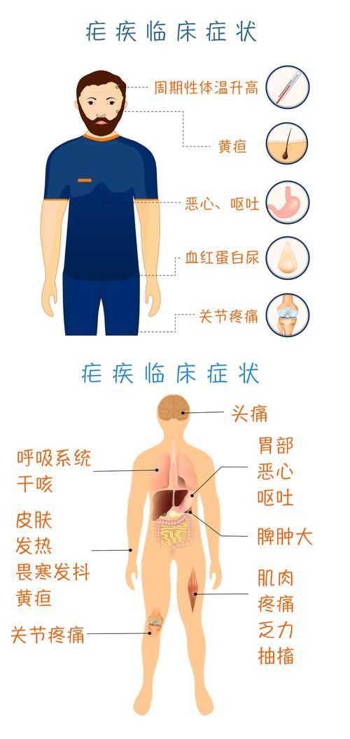 有哪些常見的寄生蟲感染癥狀，關于寄生蟲感染