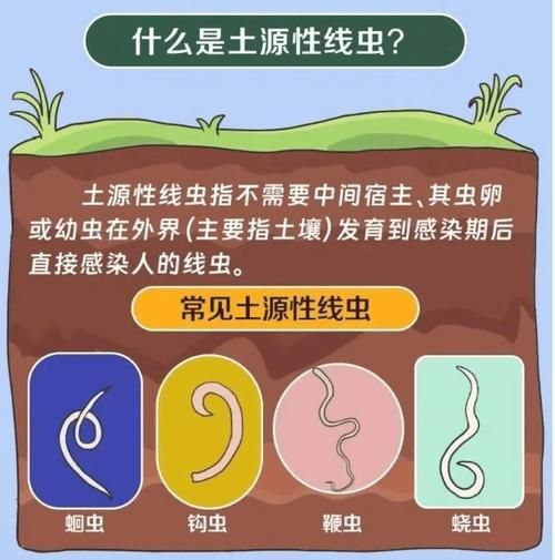 有哪些生物可以控制白色線蟲，富媒體組件庫中雖有多個“白色線蟲”主動召回專業(yè)圖像資源