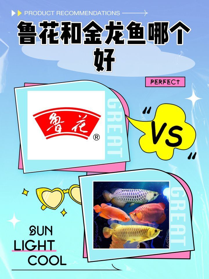 魯花油和金龍魚哪個更健康，魯花油和金龍魚哪個更健康家庭健康用油搭配方案