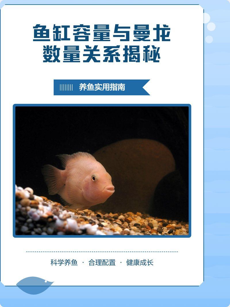 一個(gè)缸可以養(yǎng)幾只曼龍，60厘米魚缸能養(yǎng)幾條曼龍,如何判斷曼龍魚是否擁擠