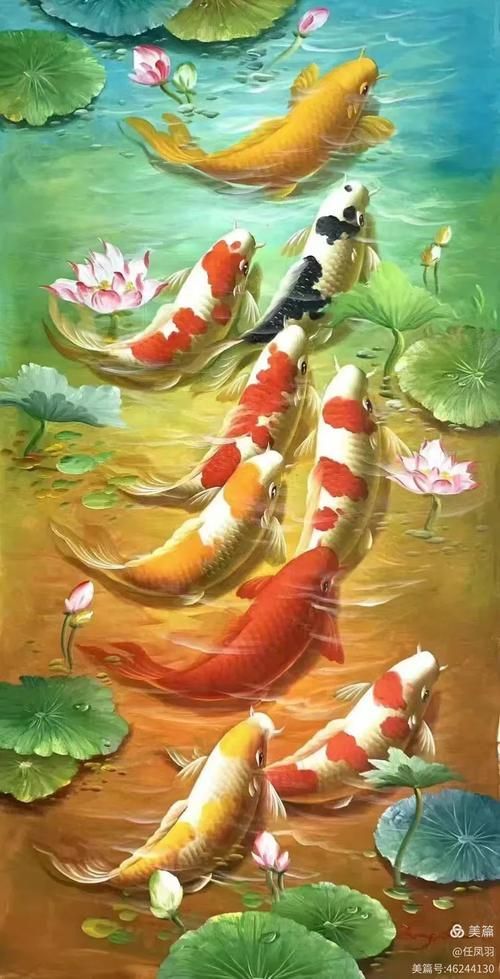 有哪些權威的風水魚圖片圖庫，理一份風水魚圖片圖庫是那些