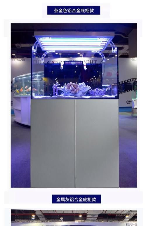 Red Sea、CADE、Waterbox哪個品牌最受歡迎？，redsea,cade,waterbox,哪個品牌最受歡迎