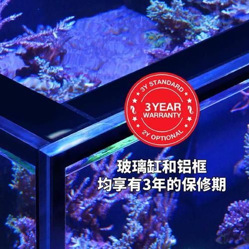 Red Sea、CADE、Waterbox哪個品牌最受歡迎？，redsea,cade,waterbox,哪個品牌最受歡迎