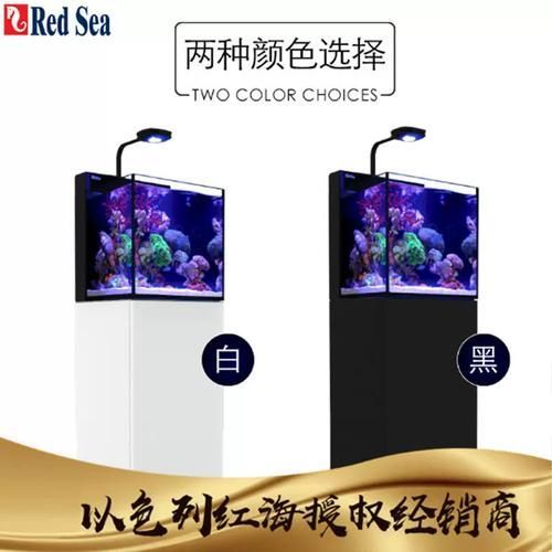 Red Sea、CADE、Waterbox哪個品牌最受歡迎？，redsea,cade,waterbox,哪個品牌最受歡迎
