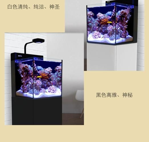 Red Sea、CADE、Waterbox哪個品牌最受歡迎？，redsea,cade,waterbox,哪個品牌最受歡迎