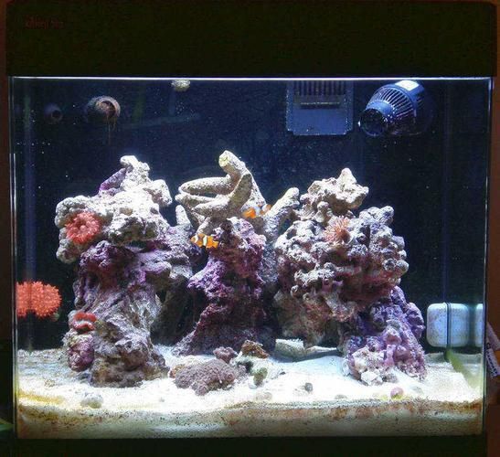 Red Sea、CADE、Waterbox哪個品牌最受歡迎？，redsea,cade,waterbox,哪個品牌最受歡迎