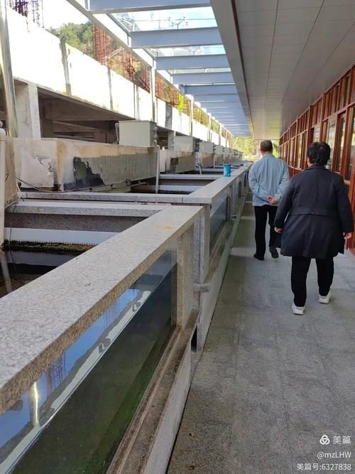 梅州龍魚養(yǎng)殖業(yè)的發(fā)展情況，梅州龍魚養(yǎng)殖業(yè)發(fā)展前景如何？