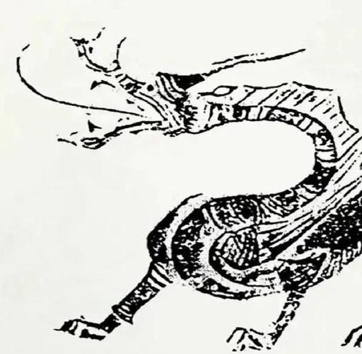 紅龍進化條件，《龍與地下城》第五版（d&d、魔獸世界等主流游戲官方設定