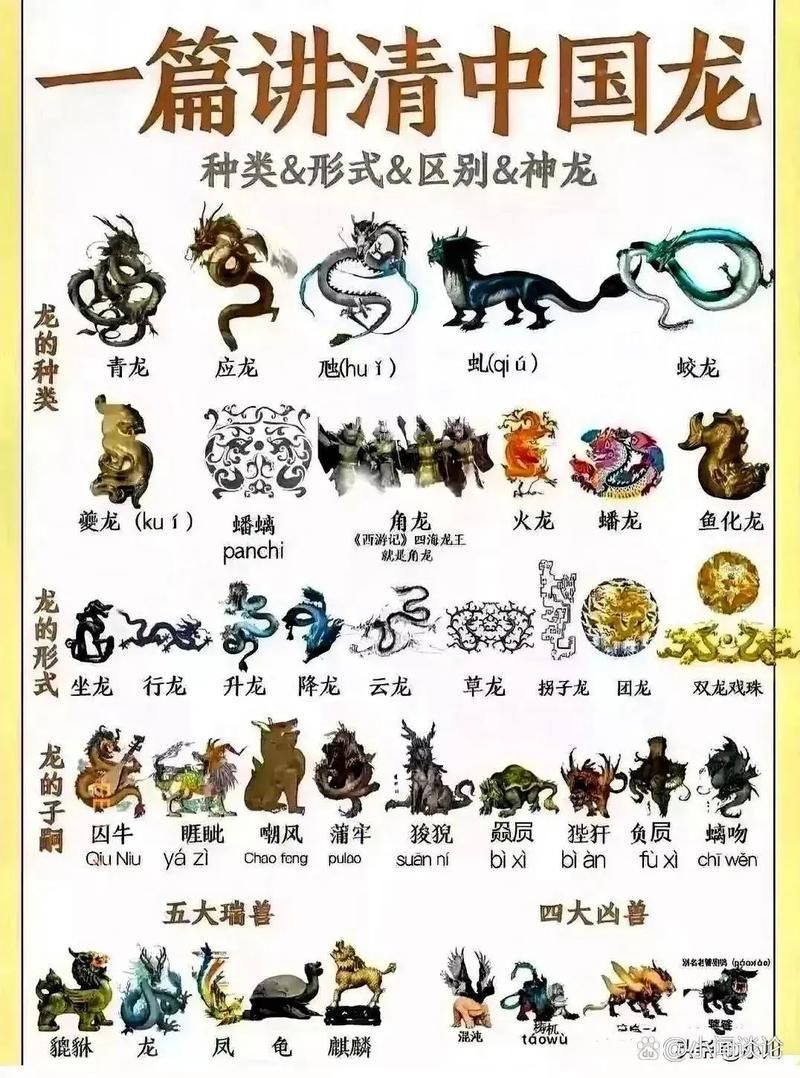 紅龍進化條件，《龍與地下城》第五版（d&d、魔獸世界等主流游戲官方設定