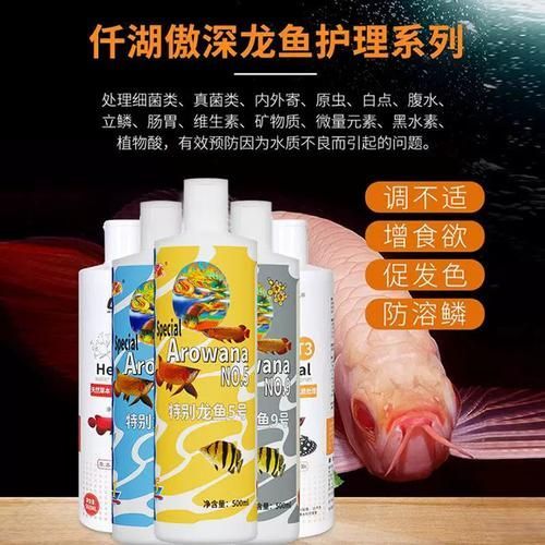 如何正確使用傲深5號治療龍魚病？，“傲深5號”治療龍魚病治療龍魚病需求1000字內容和配圖