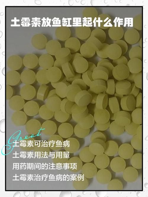 有哪些龍魚(yú)腸炎特效藥，關(guān)于龍魚(yú)腸炎的一些問(wèn)題