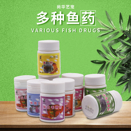 有哪些龍魚(yú)腸炎特效藥，關(guān)于龍魚(yú)腸炎的一些問(wèn)題