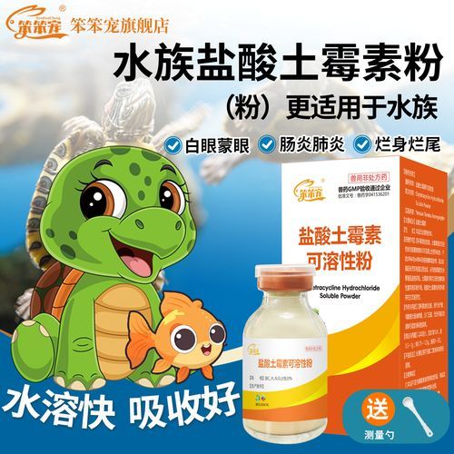 有哪些龍魚(yú)腸炎特效藥，關(guān)于龍魚(yú)腸炎的一些問(wèn)題