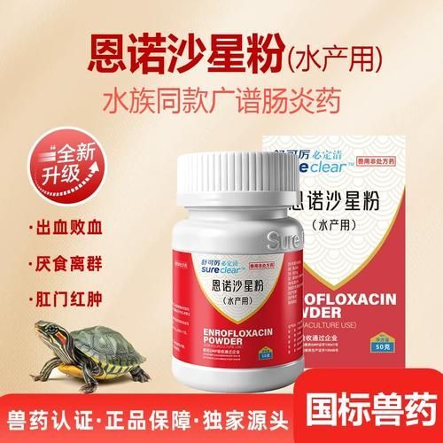有哪些龍魚(yú)腸炎特效藥，關(guān)于龍魚(yú)腸炎的一些問(wèn)題