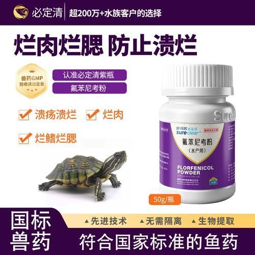 有哪些龍魚(yú)腸炎特效藥，關(guān)于龍魚(yú)腸炎的一些問(wèn)題