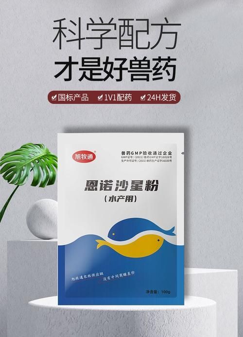有哪些龍魚(yú)腸炎特效藥，關(guān)于龍魚(yú)腸炎的一些問(wèn)題