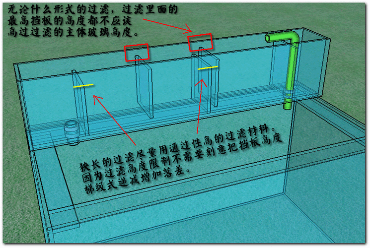 如何維持5厘米魚缸的水質穩定？，5厘米微型魚缸水質穩定的核心原則，5厘米魚缸水質穩定 如何維持5厘米魚缸的水質穩定？，5厘米微型魚缸水質穩定的核心原則，5厘米魚缸水質穩定 龍魚百科 第6張