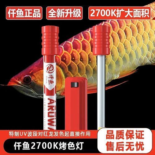推薦一些適合紅龍魚的紅光燈品牌，紅龍魚發色速度提升23%紅光燈品牌及其特點