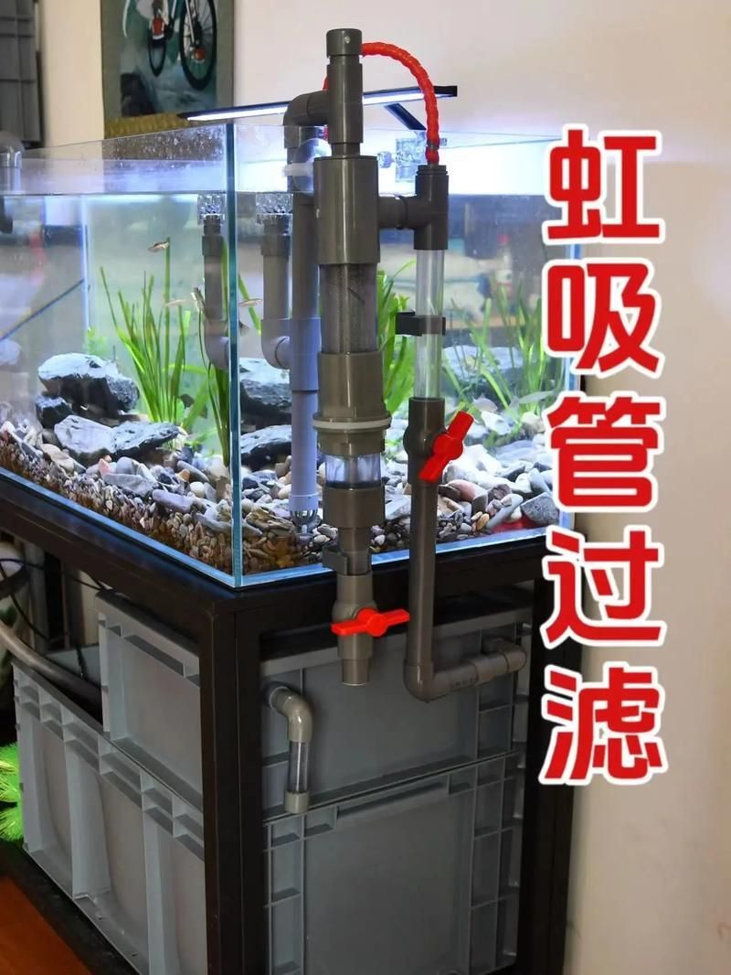 如何科學清洗魚缸,科學清洗魚缸 龍魚百科 第9張 如何科學清洗魚缸,科學清洗魚缸 如何科學清洗魚缸,科學清洗魚缸 龍魚百科 第9張