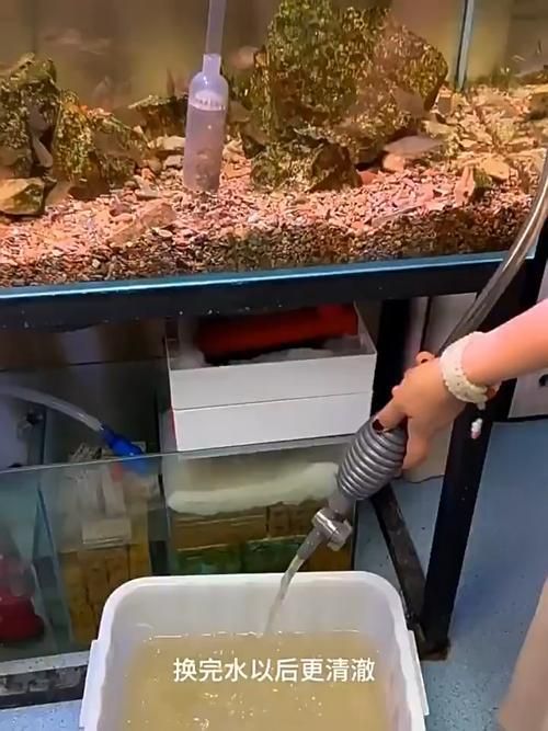 如何科學清洗魚缸,科學清洗魚缸 龍魚百科 第7張 如何科學清洗魚缸,科學清洗魚缸 如何科學清洗魚缸,科學清洗魚缸 龍魚百科 第7張