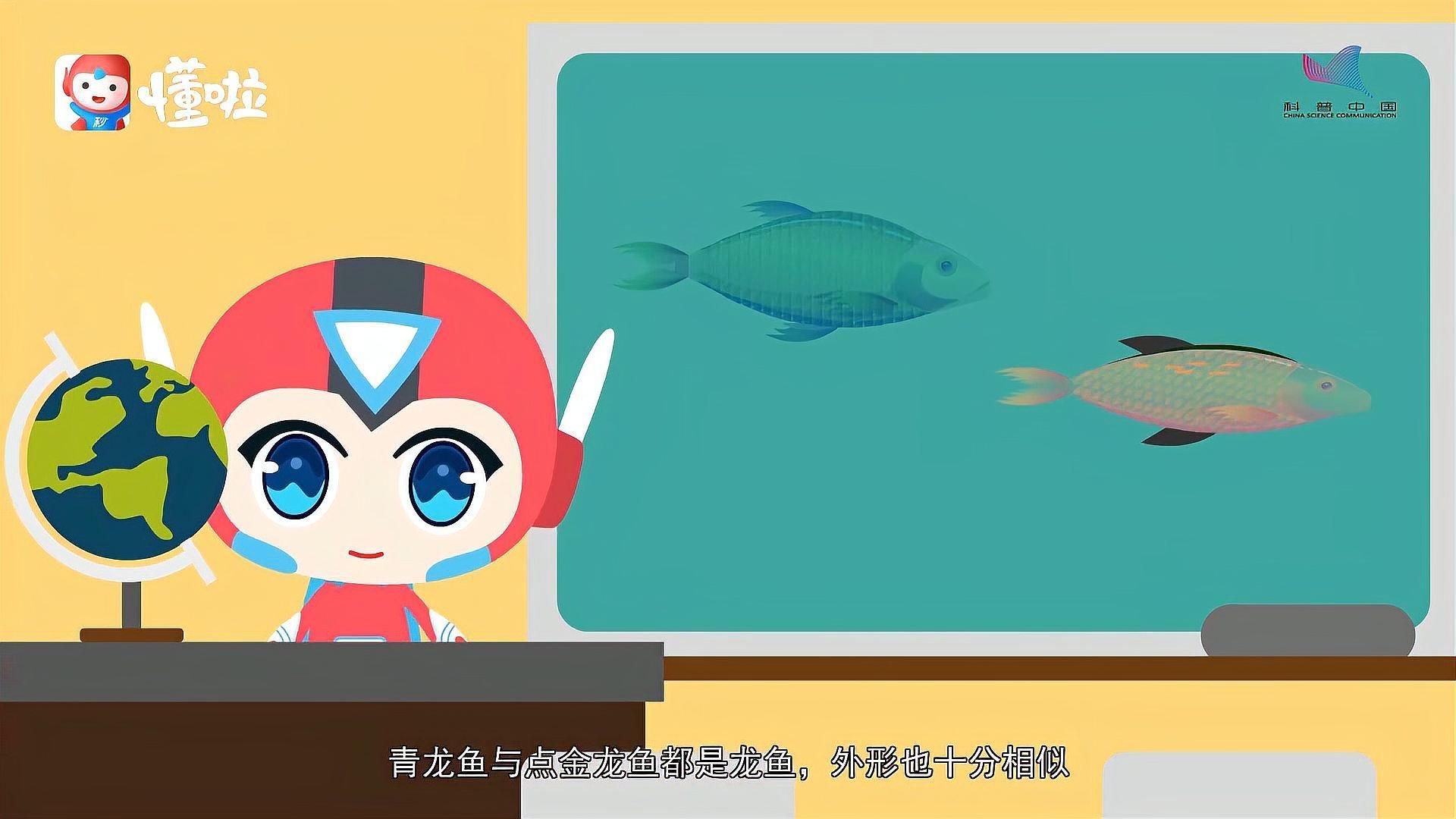 有哪些品種的青龍魚？，青龍魚與點金龍的區別