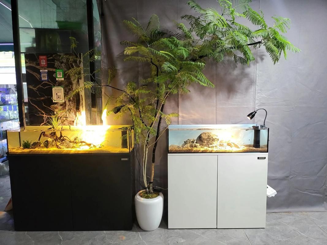 一號水族魚缸有哪些型號？