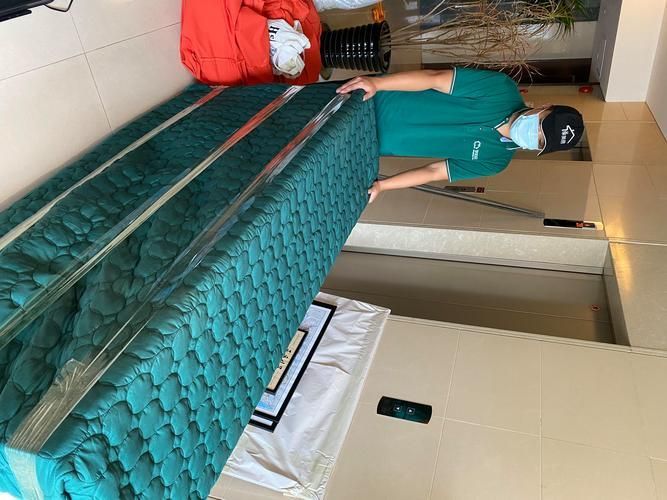 如何降低福泉龍魚的飼養成本，如何降低福泉龍魚的飼養成本遠超飼養成本遠超飼養成本