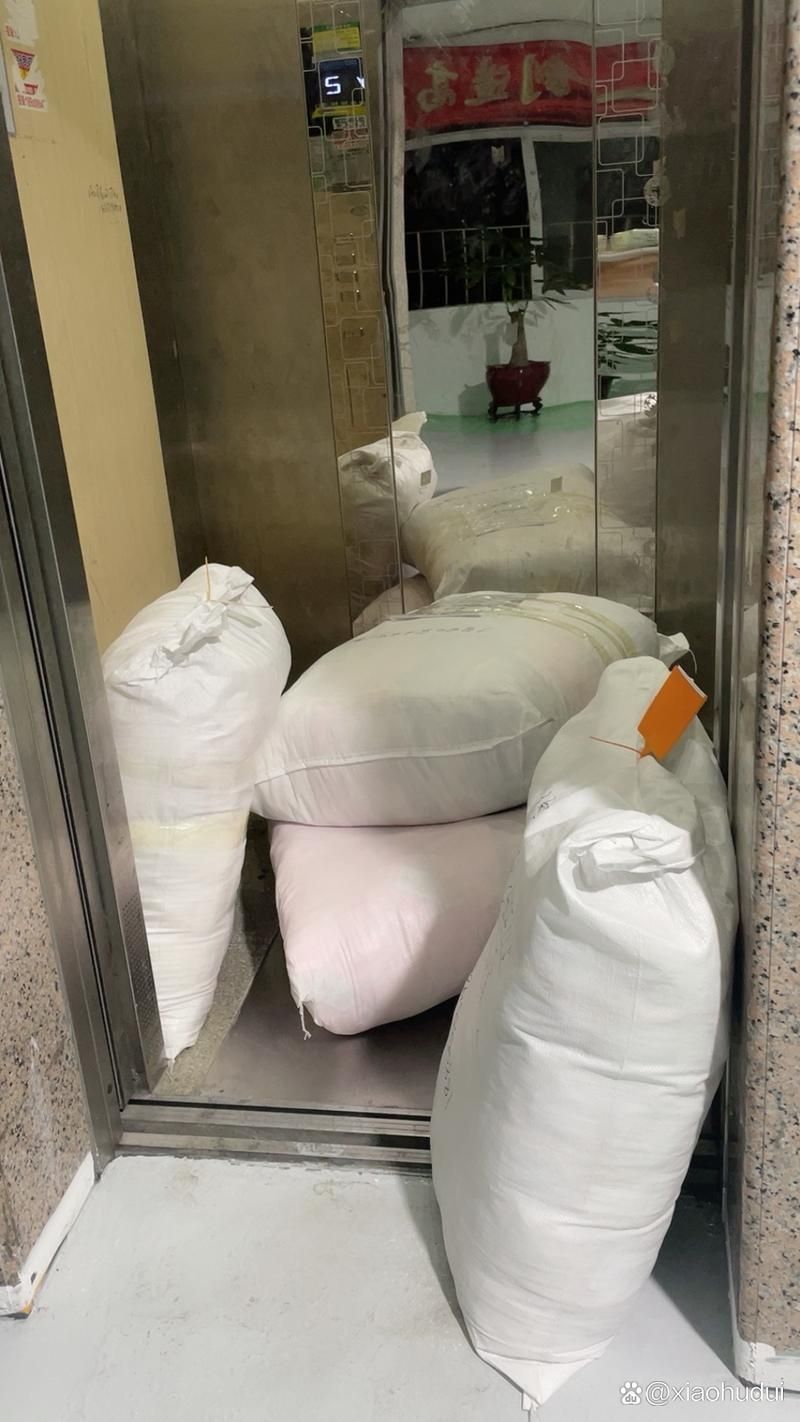 如何降低福泉龍魚的飼養成本，如何降低福泉龍魚的飼養成本遠超飼養成本遠超飼養成本