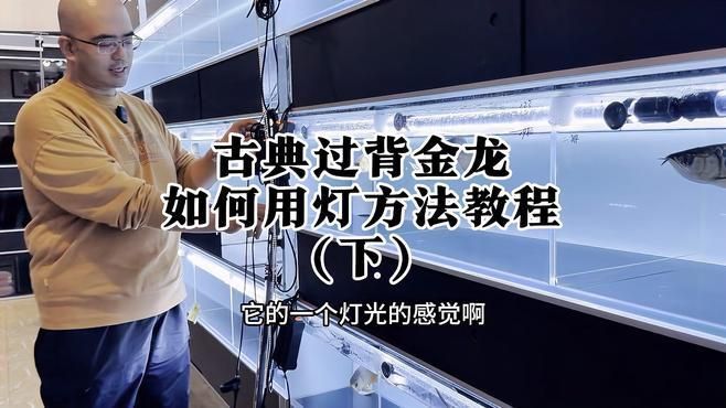 過背金龍用什么燈光最好，過背金龍魚燈光配置清單飛利浦865+藍燈管