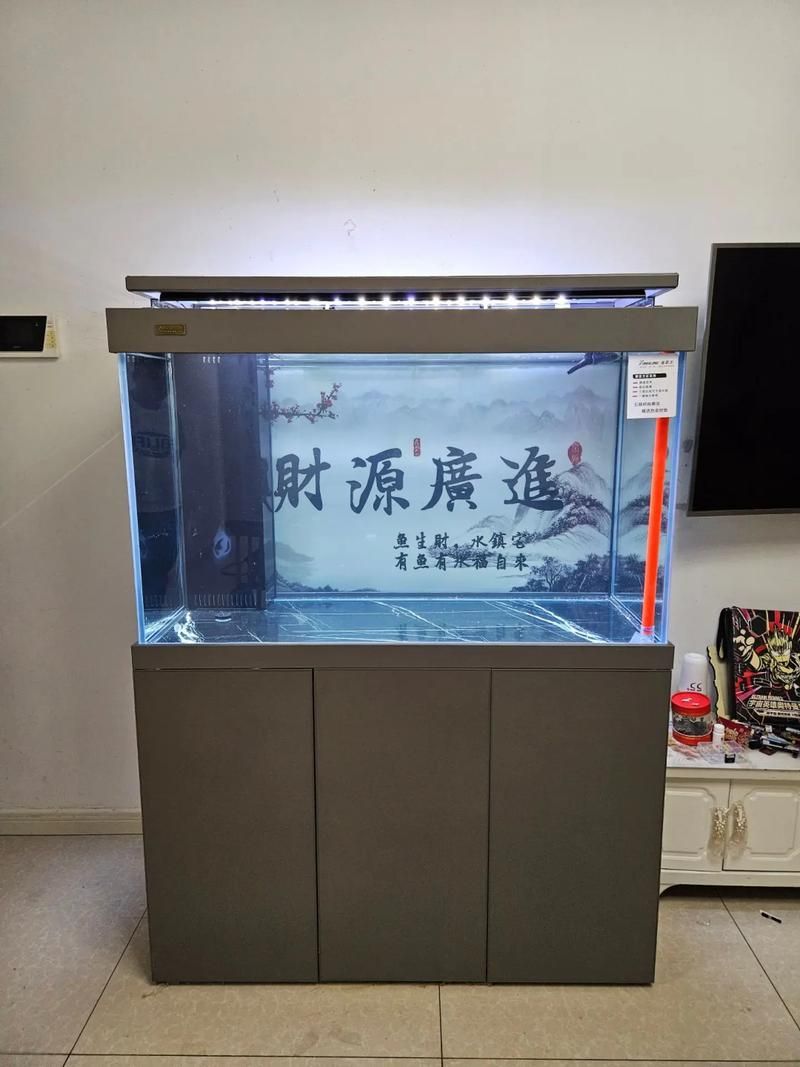 龍魚魚缸圖片大全，龍魚十大漁場排名中哪個漁場最值得關注