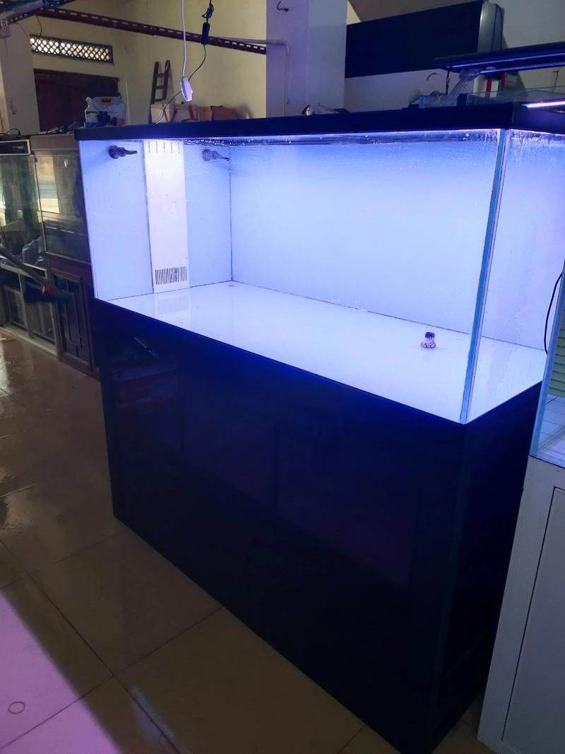 龍魚魚缸圖片大全，龍魚十大漁場排名中哪個漁場最值得關注