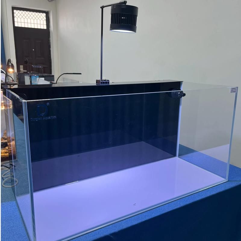 祥龍魚場龍魚魚缸的評價如何？，祥龍魚場龍魚魚缸用戶評價