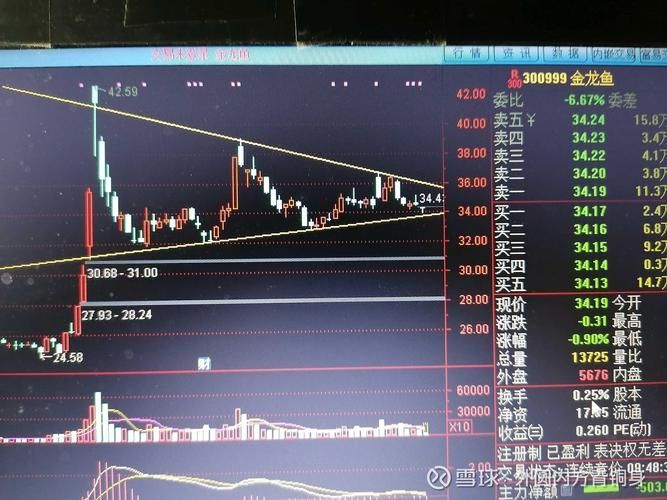 金龍魚股票的技術(shù)面分析有哪些？，金龍魚股票的技術(shù)面分析主要涉及以下幾個(gè)方面阻力位 金龍魚股票的技術(shù)面分析有哪些？，金龍魚股票的技術(shù)面分析主要涉及以下幾個(gè)方面阻力位 龍魚百科 第5張