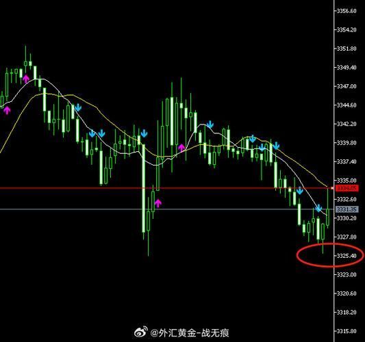 金龍魚股票的技術(shù)面分析有哪些？，金龍魚股票的技術(shù)面分析主要涉及以下幾個(gè)方面阻力位 金龍魚股票的技術(shù)面分析有哪些？，金龍魚股票的技術(shù)面分析主要涉及以下幾個(gè)方面阻力位 龍魚百科 第6張