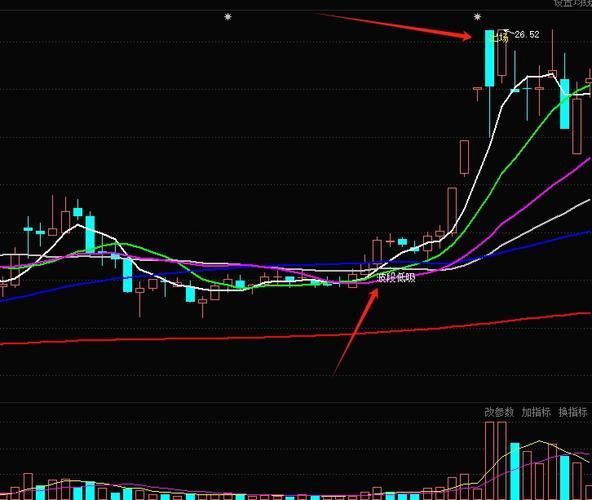 金龍魚股票的技術(shù)面分析有哪些？，金龍魚股票的技術(shù)面分析主要涉及以下幾個(gè)方面阻力位 金龍魚股票的技術(shù)面分析有哪些？，金龍魚股票的技術(shù)面分析主要涉及以下幾個(gè)方面阻力位 龍魚百科 第2張