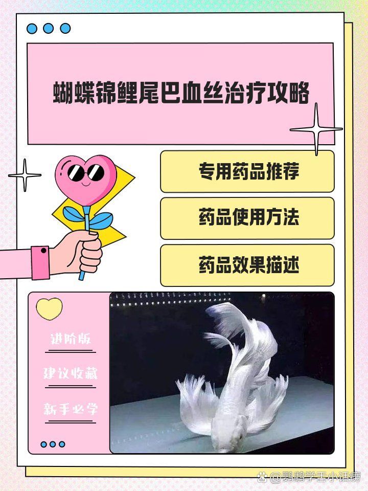 哪種藥物治療魚尾巴發(fā)紅最有效，魚尾巴發(fā)紅怎么辦