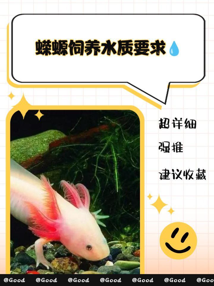 如何判斷水質是否適合火龍魚蠑螈，如何判斷水質是否適合火龍魚和蠑螈