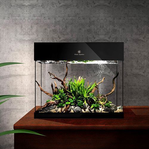 有哪些口碑好的魚(yú)缸品牌？，口碑好的魚(yú)缸品牌推薦，口碑較好的魚(yú)缸品牌推薦